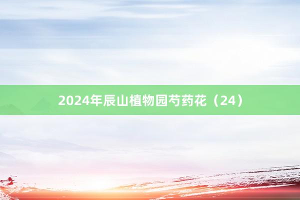 2024年辰山植物园芍药花（24）